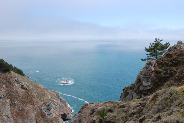008 Muir Beach view 2