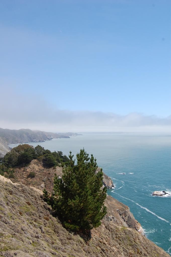 011 Muir Beach view 5