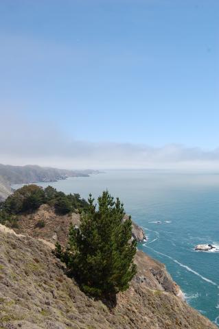 011 Muir Beach view 5