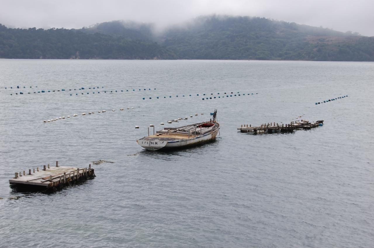 020 Oyster Beds 1