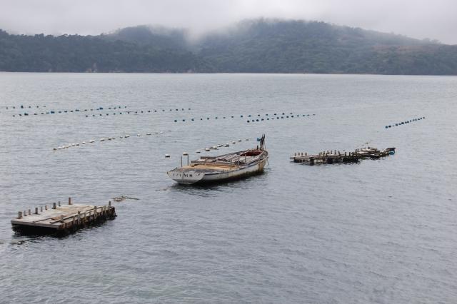 020 Oyster Beds 1
