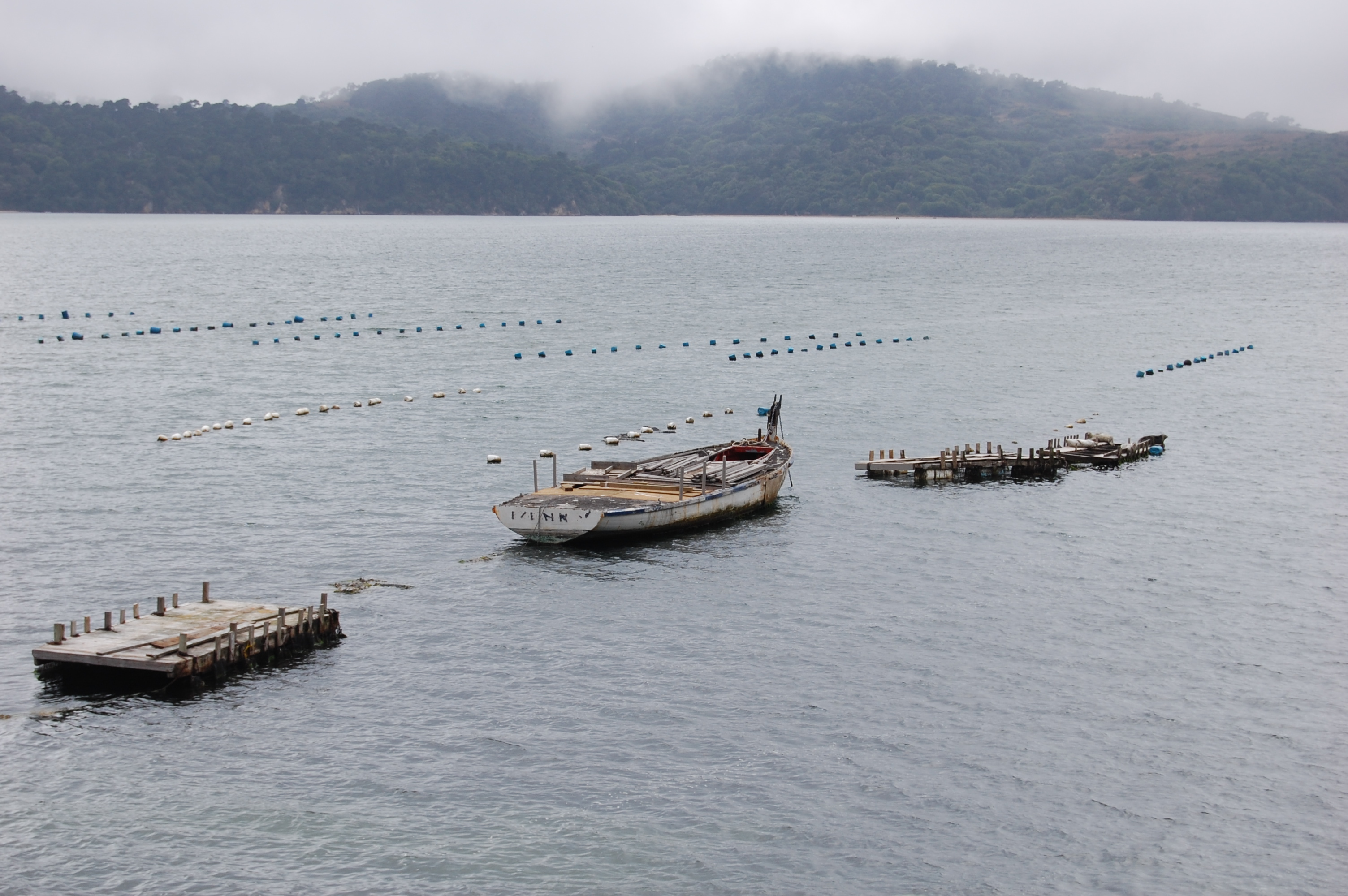 020 Oyster Beds 1