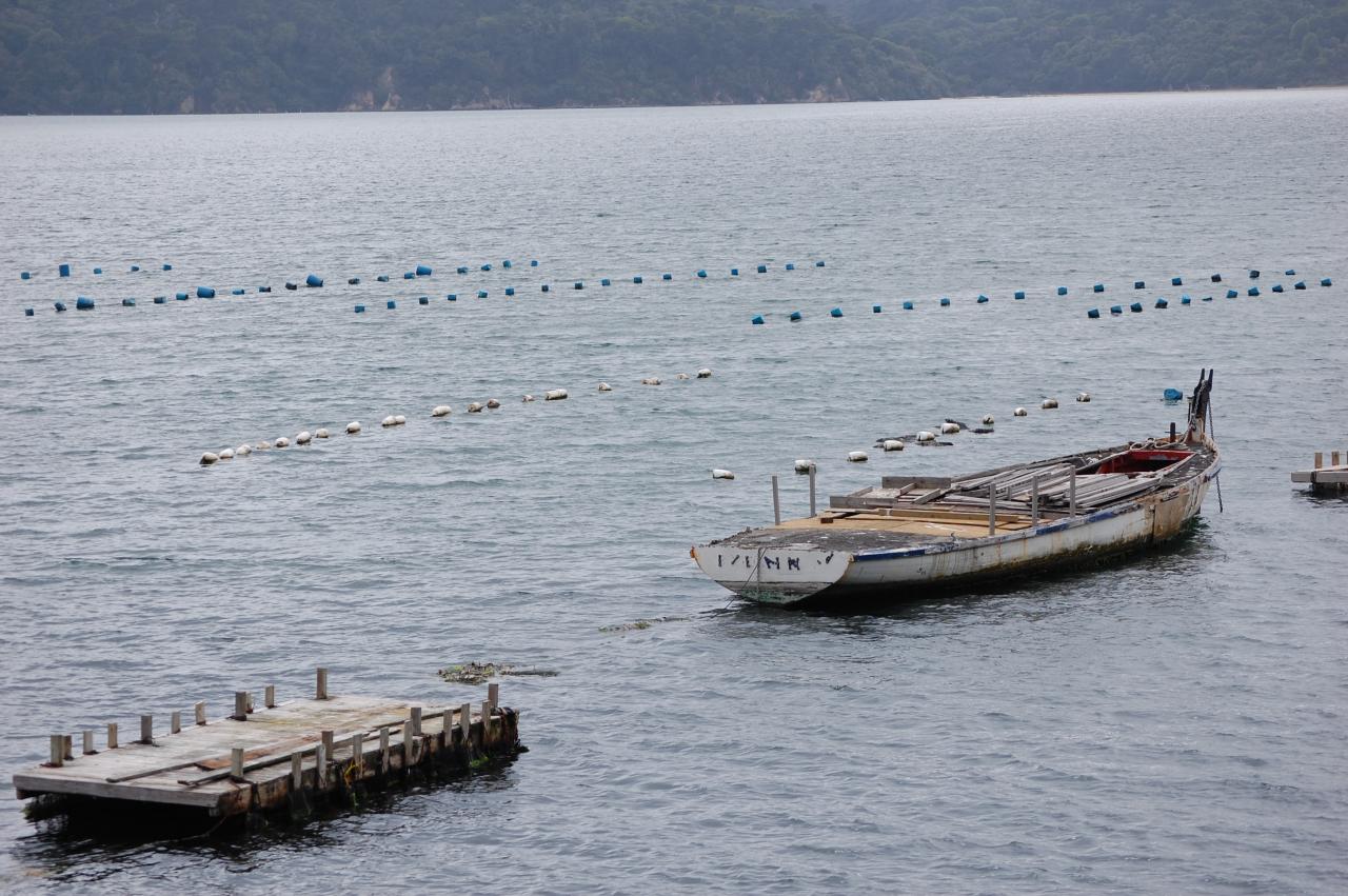 022 Oyster Beds 2