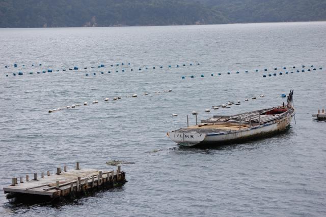 022 Oyster Beds 2