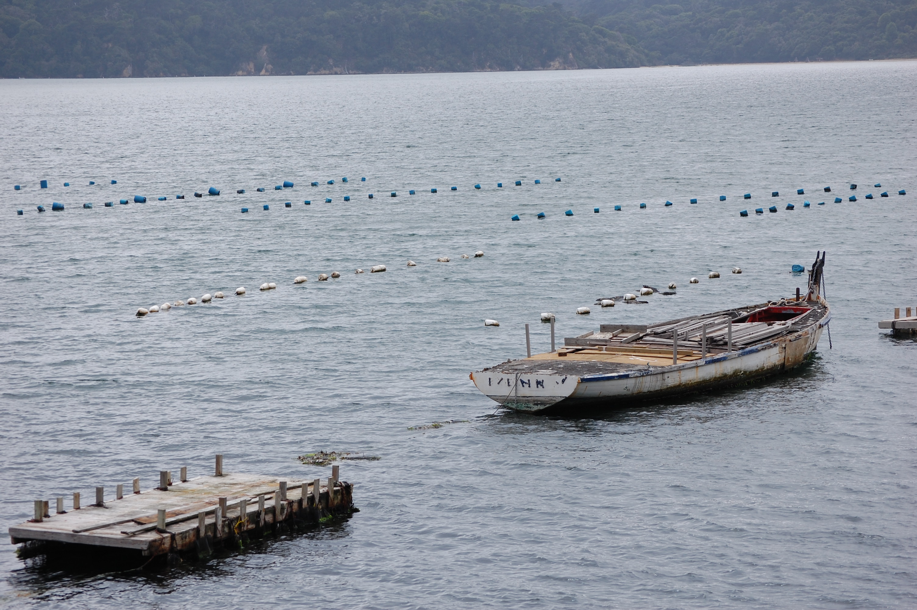 022 Oyster Beds 2