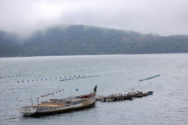 023 Oyster Beds 3