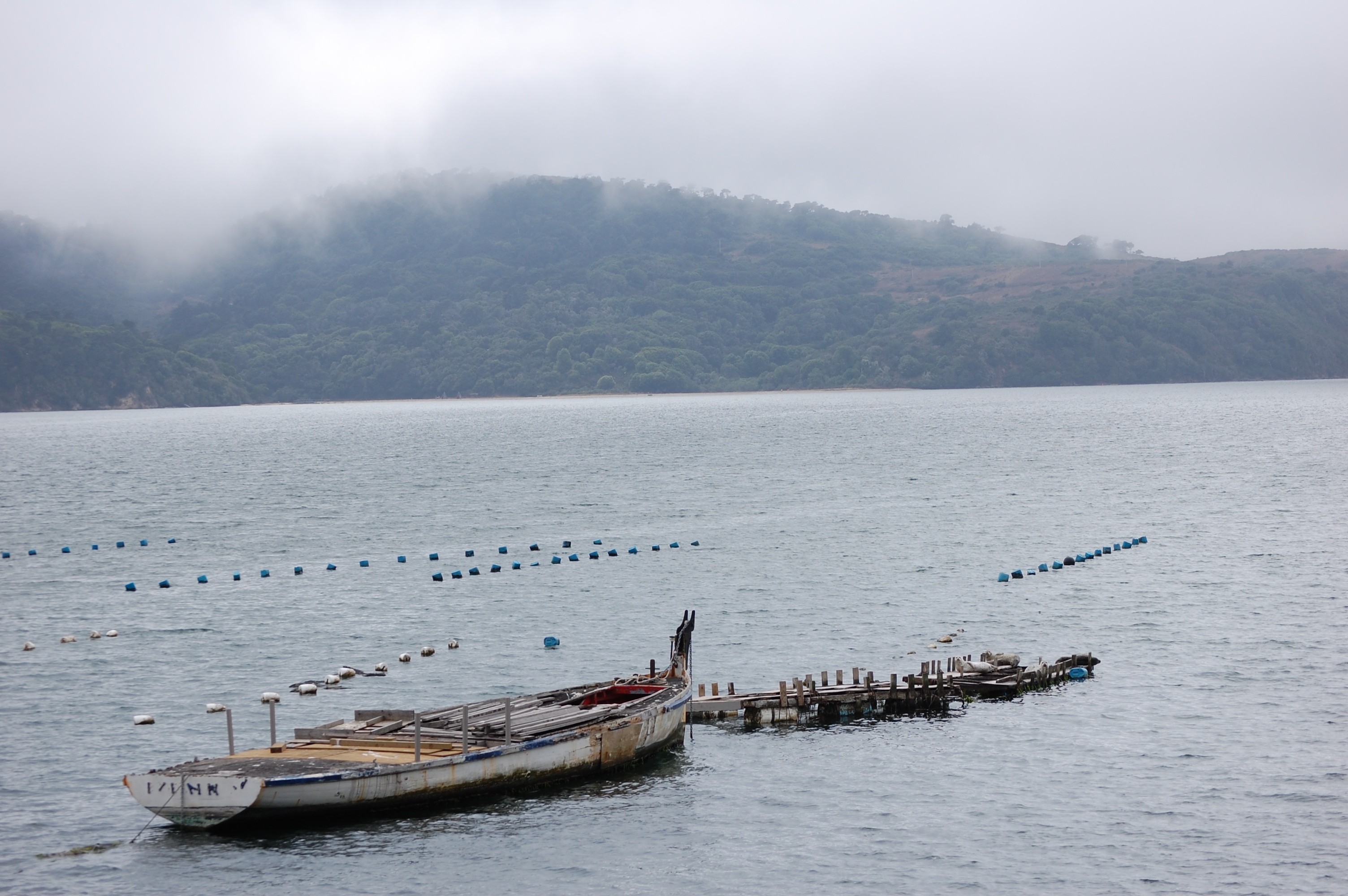 023 Oyster Beds 3