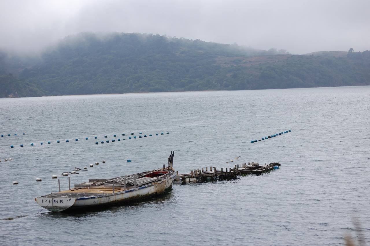 024 Oyster Beds 4