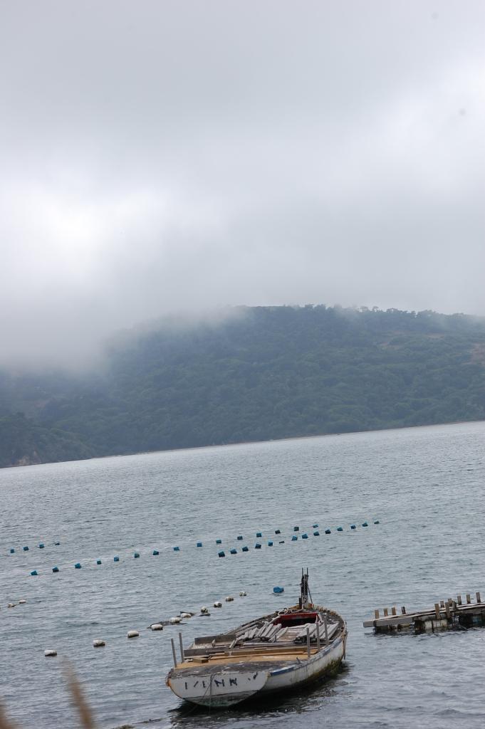 025 Oyster Beds 5