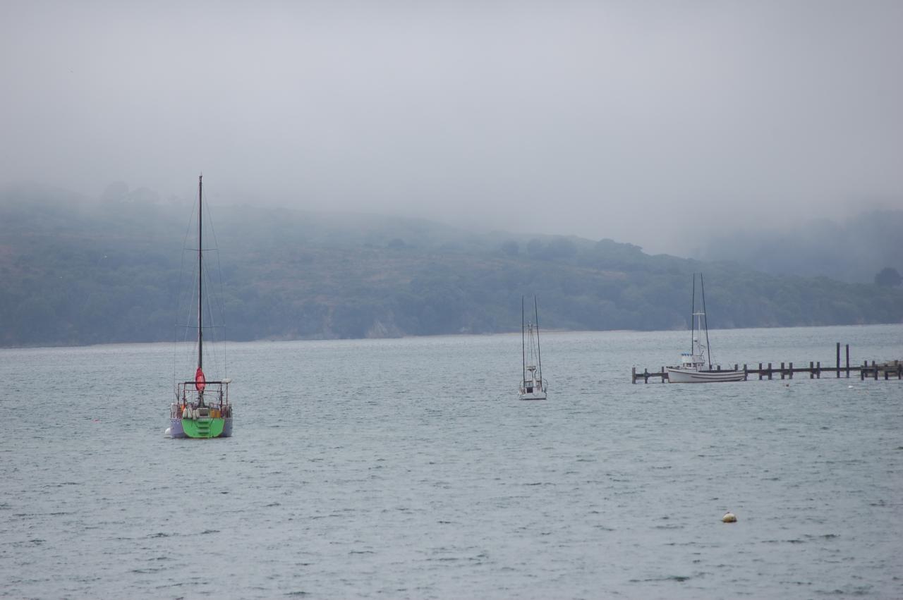 026 Bodega Bay 1