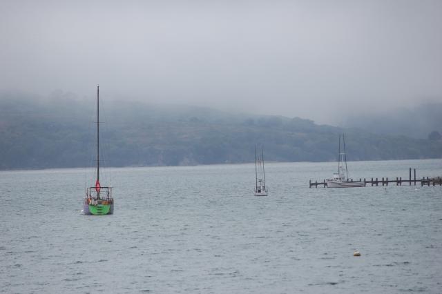 026 Bodega Bay 1