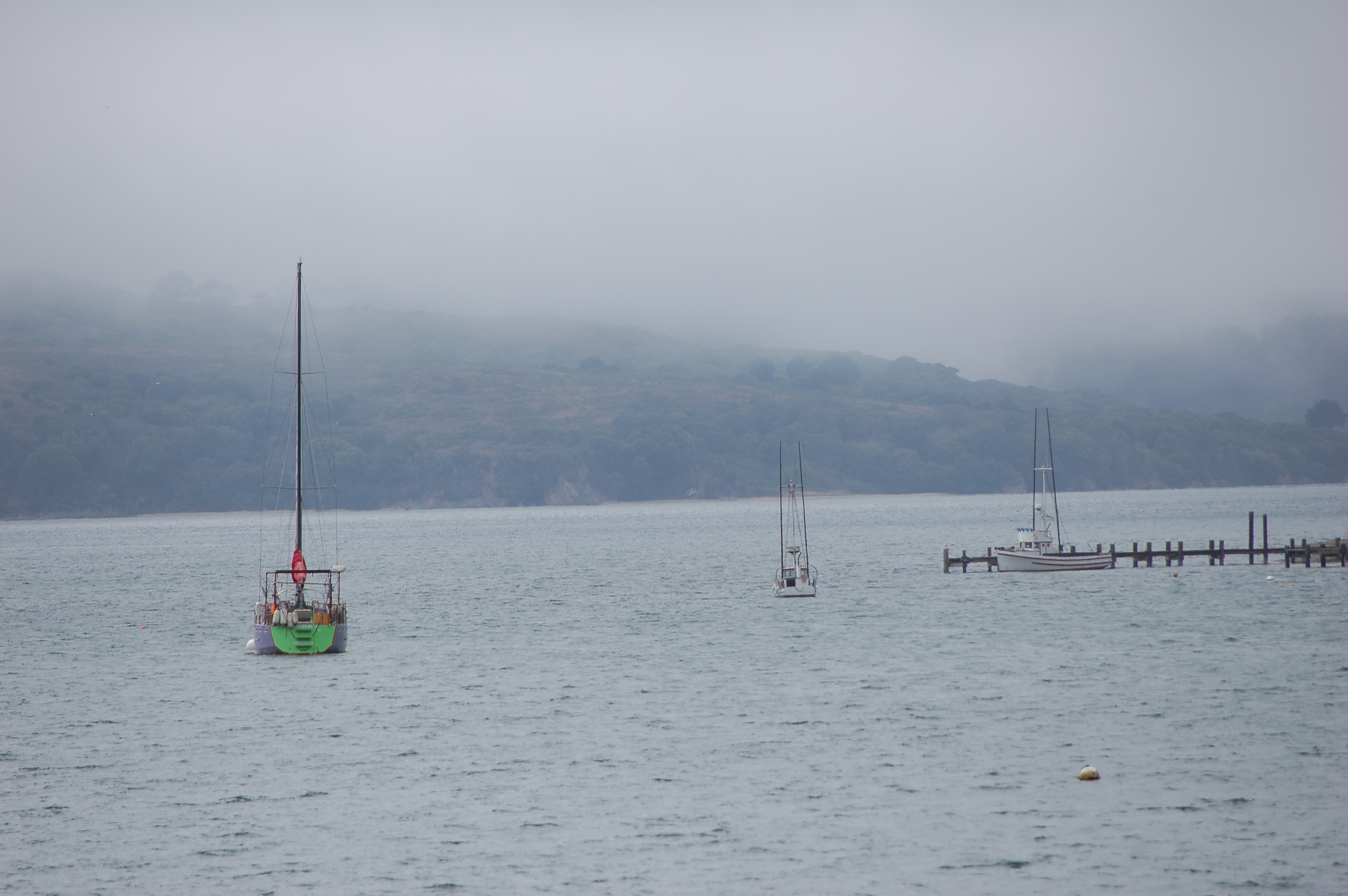 026 Bodega Bay 1