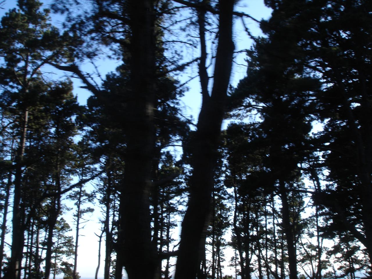 031 A Hwy 1