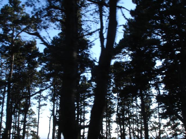031 A Hwy 1