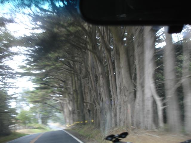 031 F Hwy 1