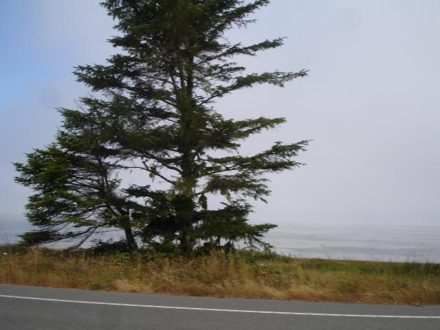 031 M Hwy 1