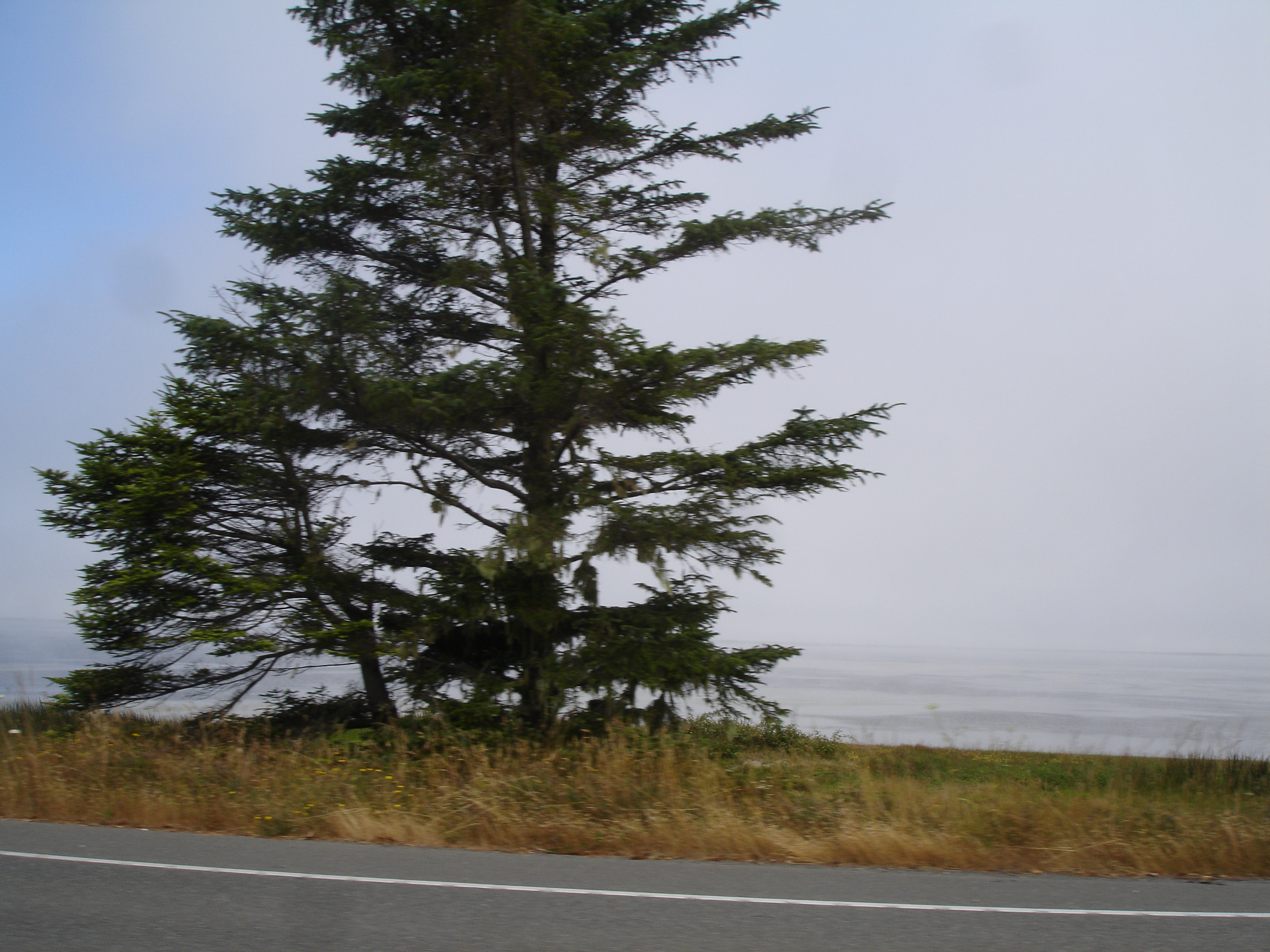 031 M Hwy 1