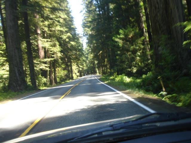 031 S Hwy 1