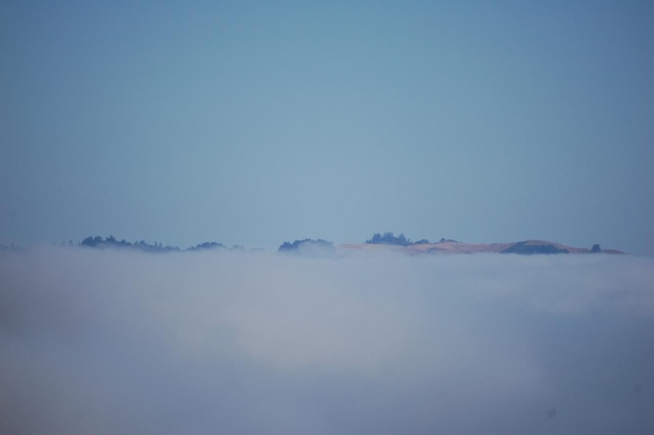 031 Sonoma Coast Fog