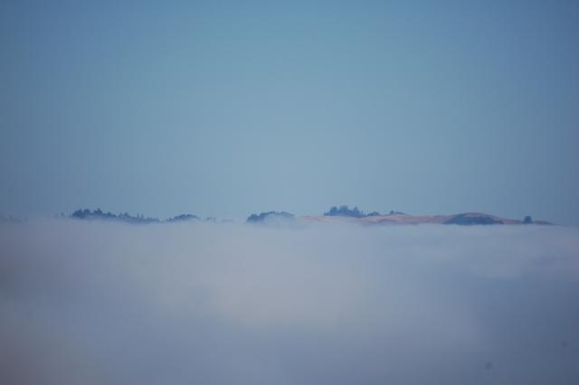 031 Sonoma Coast Fog