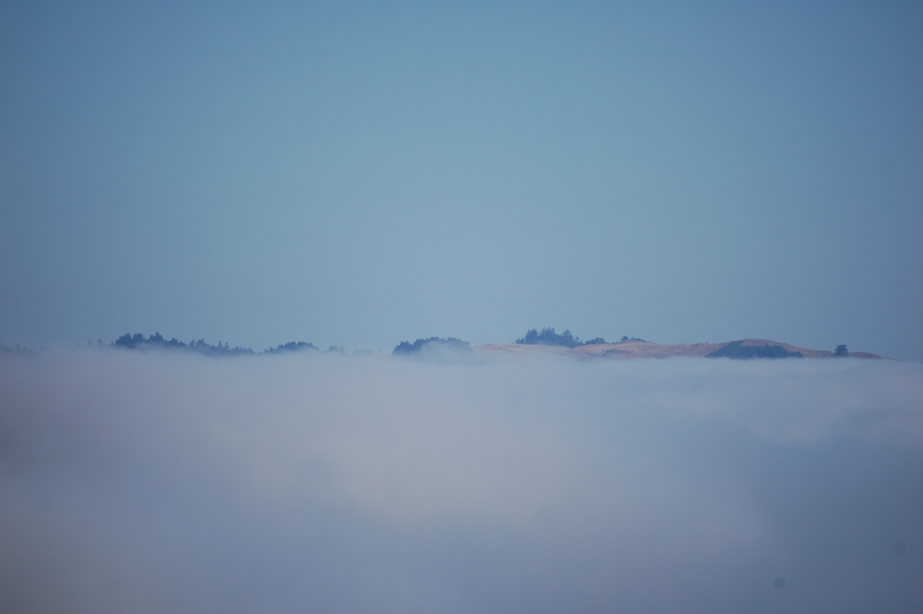 031 Sonoma Coast Fog