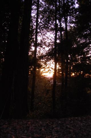 035 Sonoma Coast SunSet 1