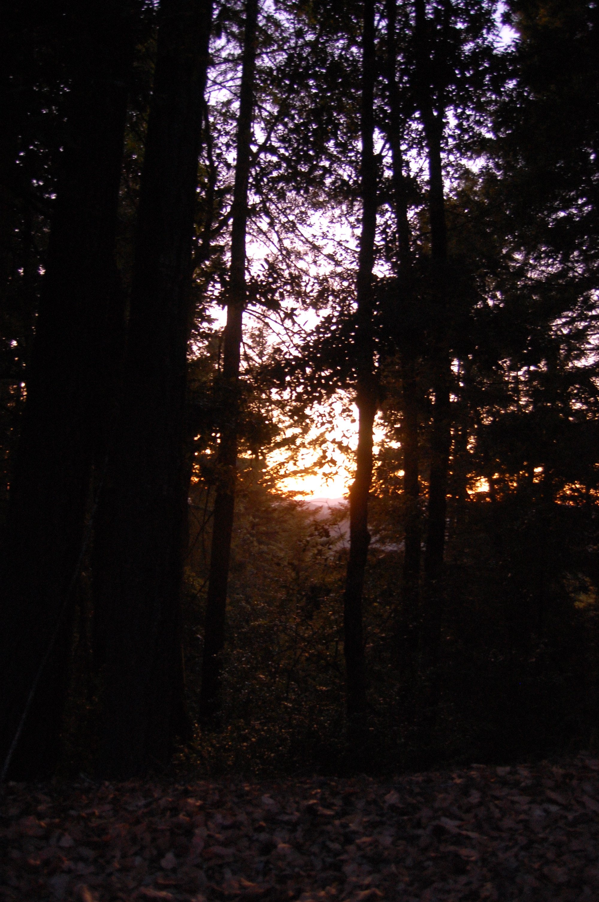 035 Sonoma Coast SunSet 1