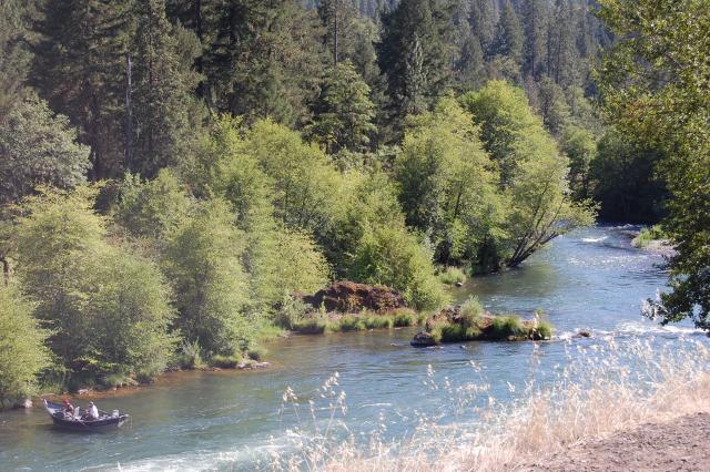 060 Rogue River 4