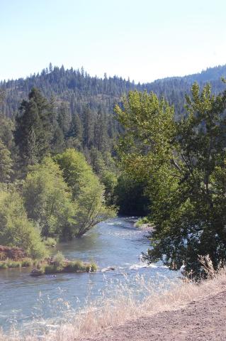 061 Rogue River 5