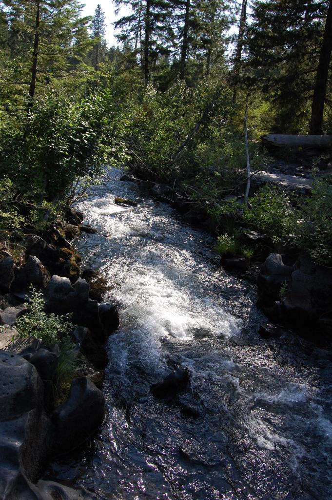 062 Deschutes River 1