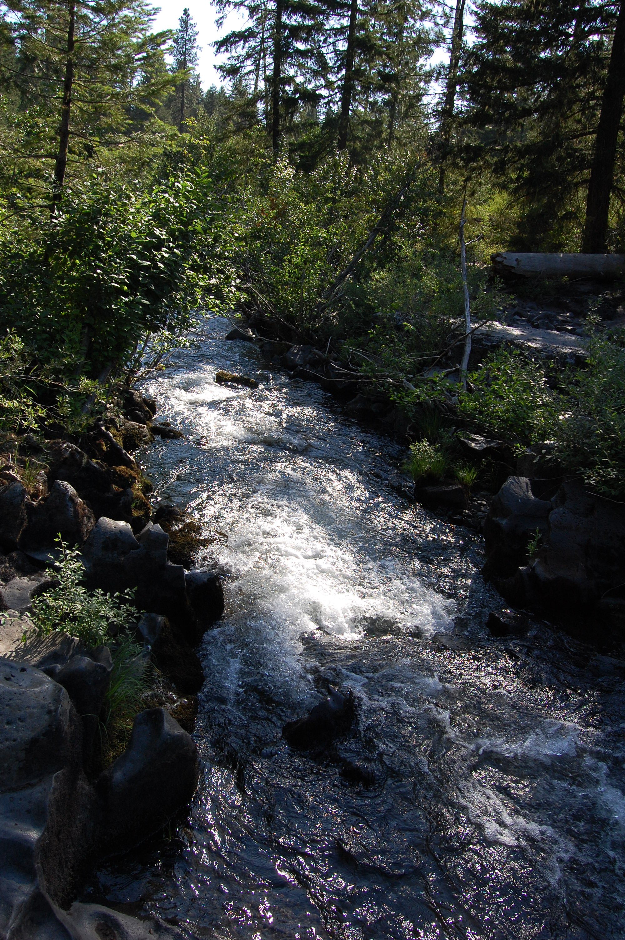 062 Deschutes River 1