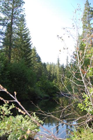 063 Deschutes River 2