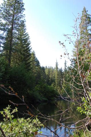 064 Deschutes River 3