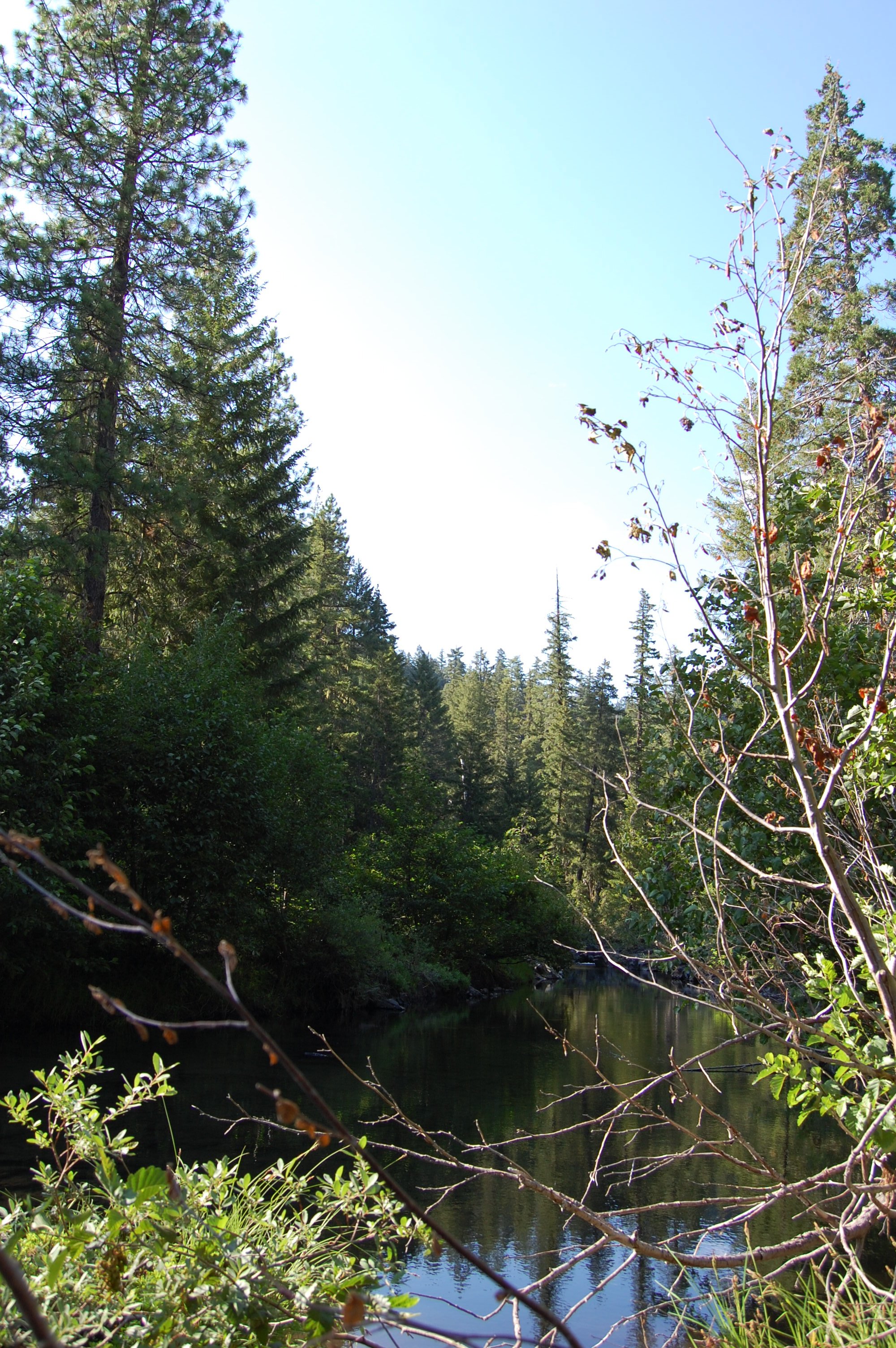 064 Deschutes River 3