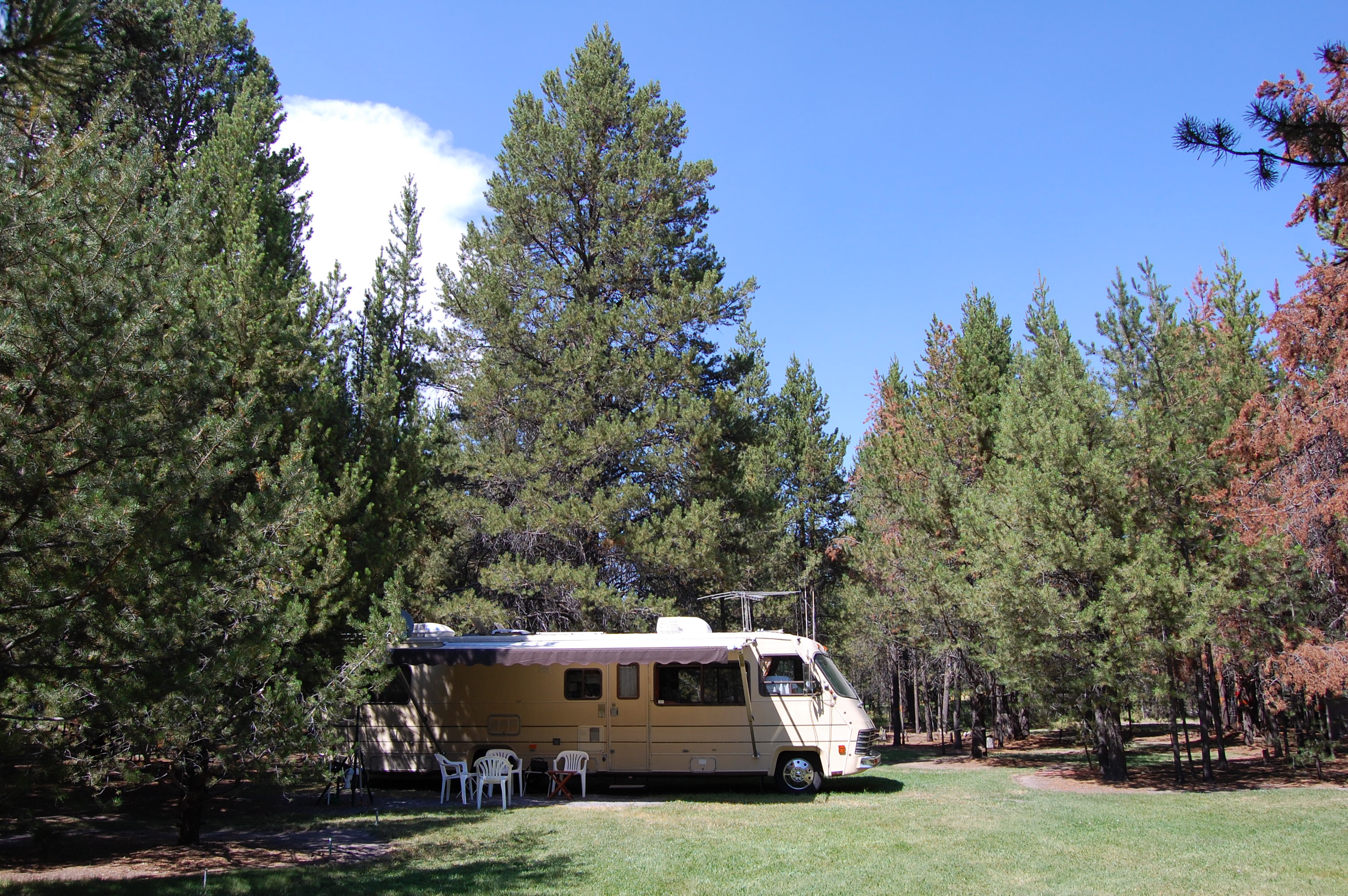084 Lot 1