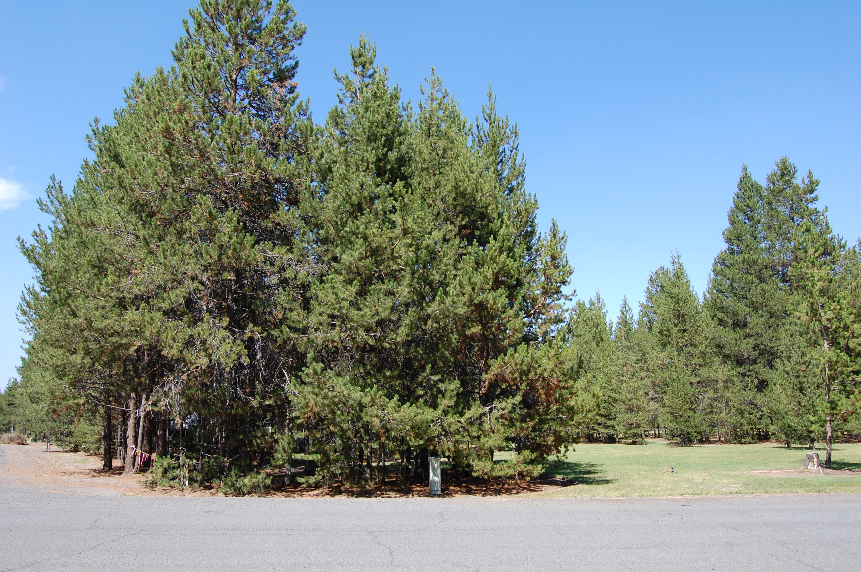 087 Lot 3