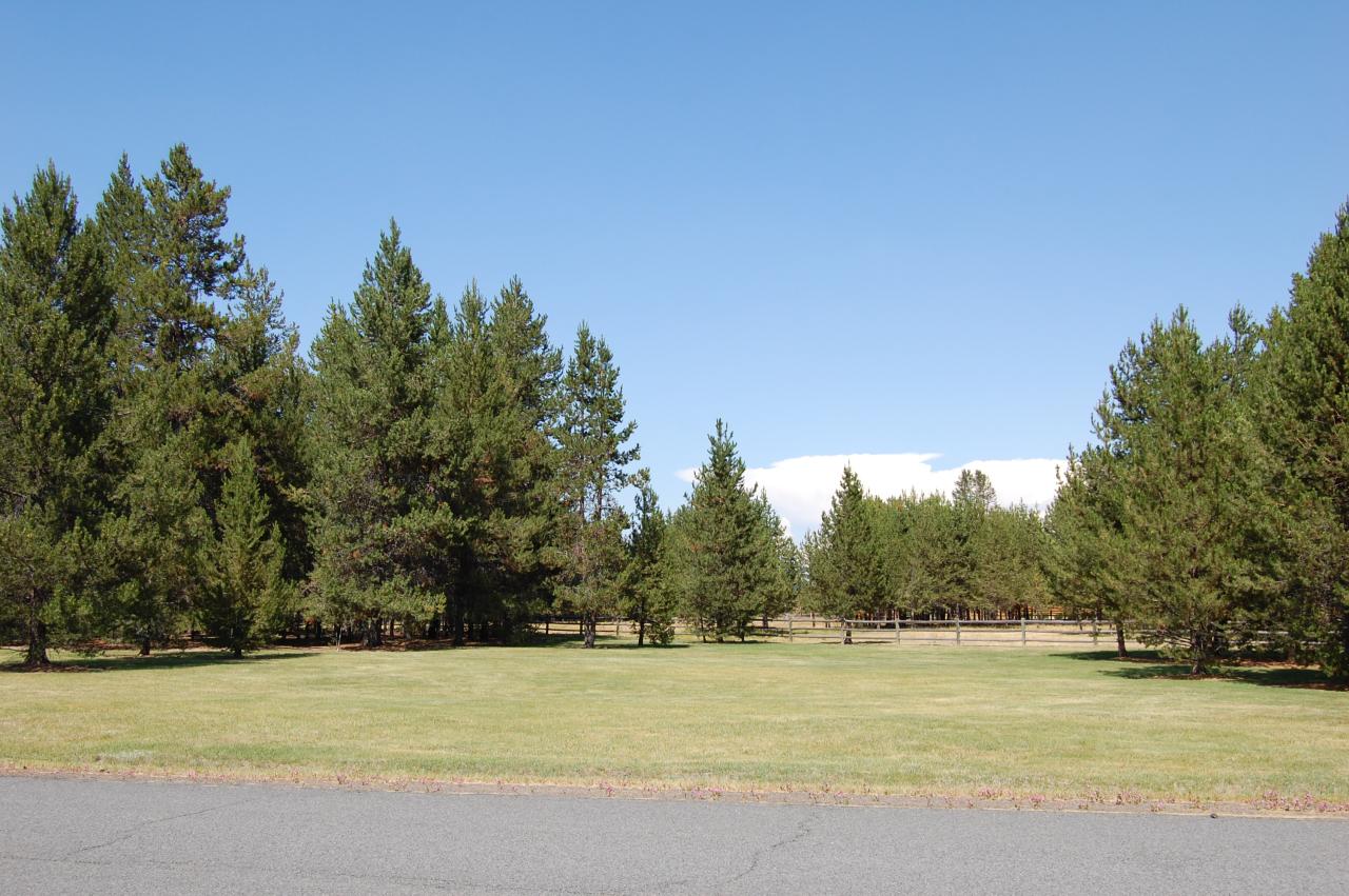 088 Lot 5