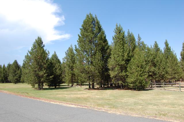 090 Lot 6