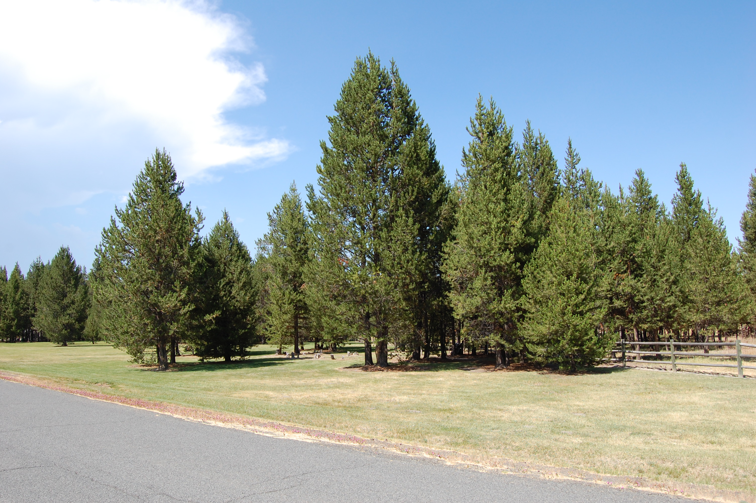 090 Lot 6