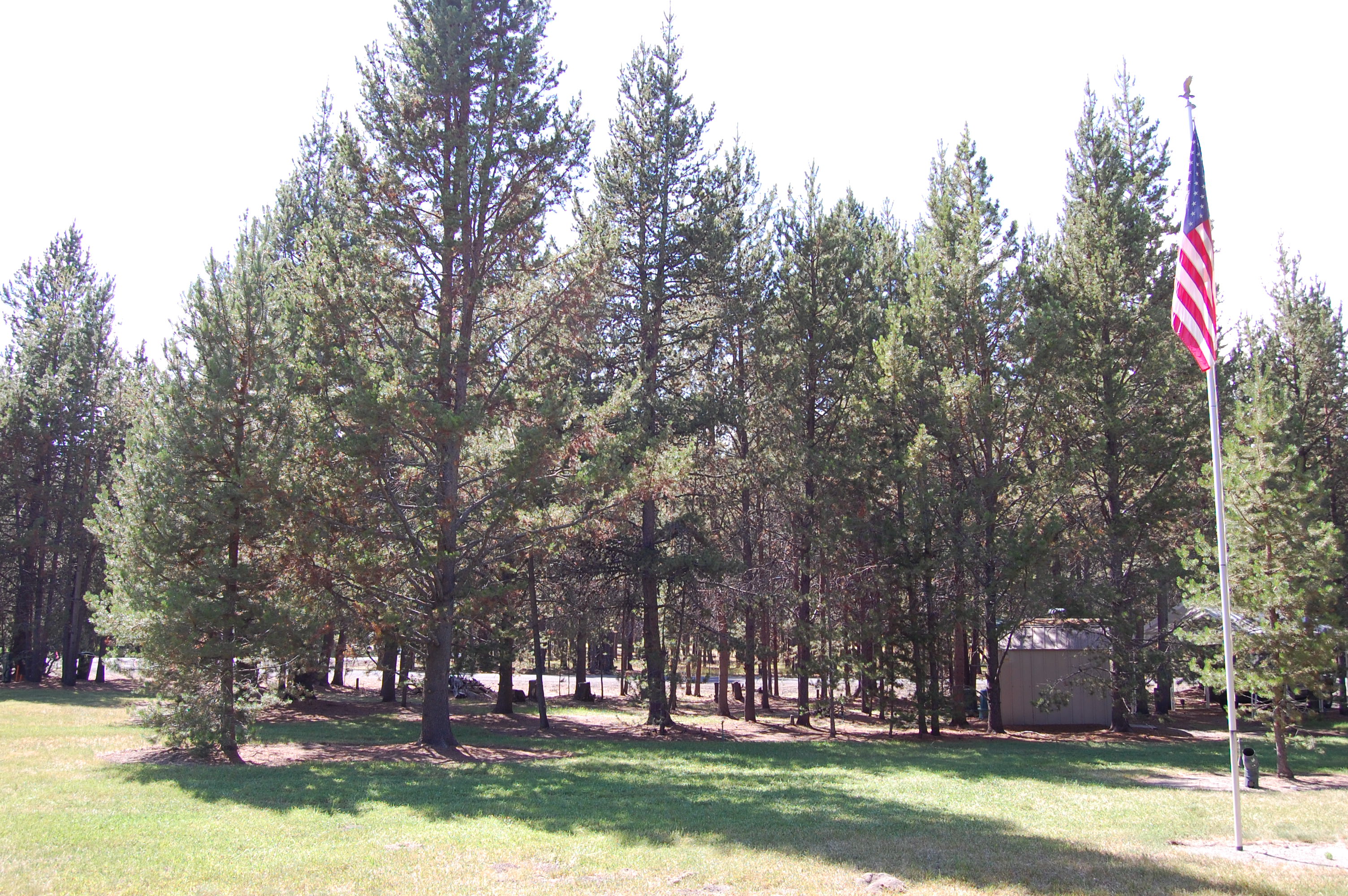 091 Lot 7