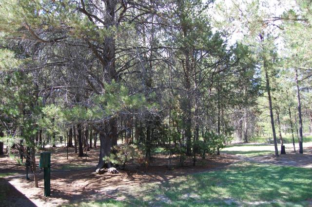 092 Lot 8