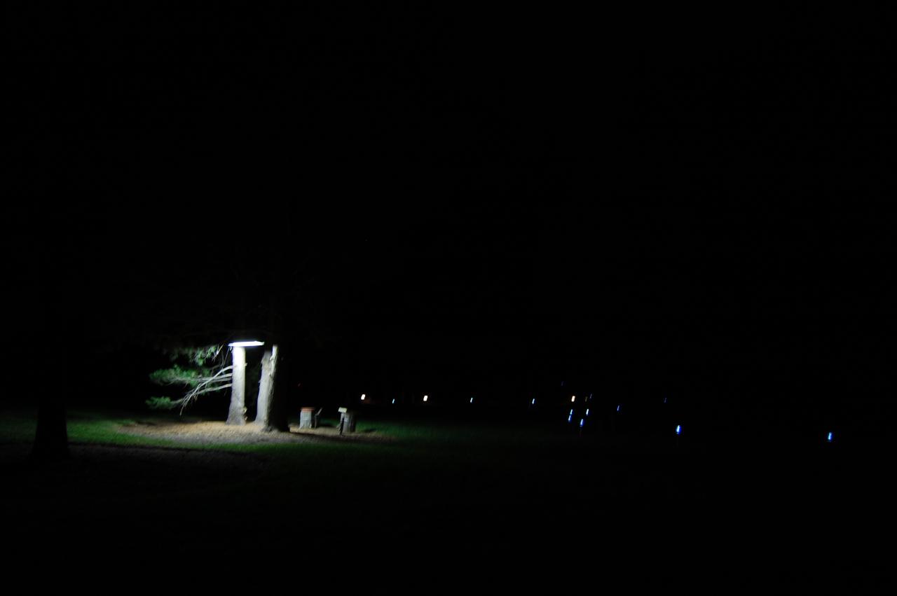 102 Night Lights 2