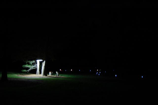 103 Night Lights 3