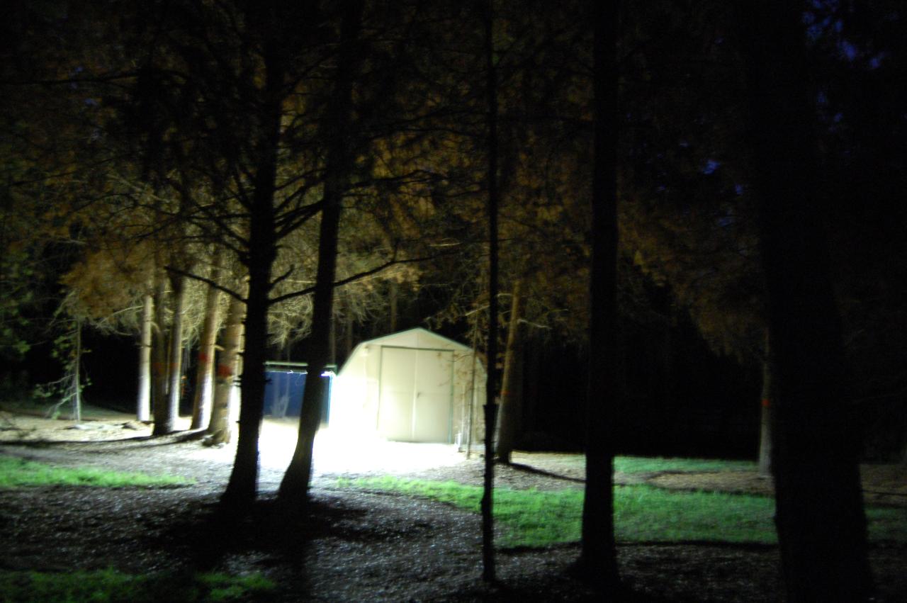 104 Night Lights 4