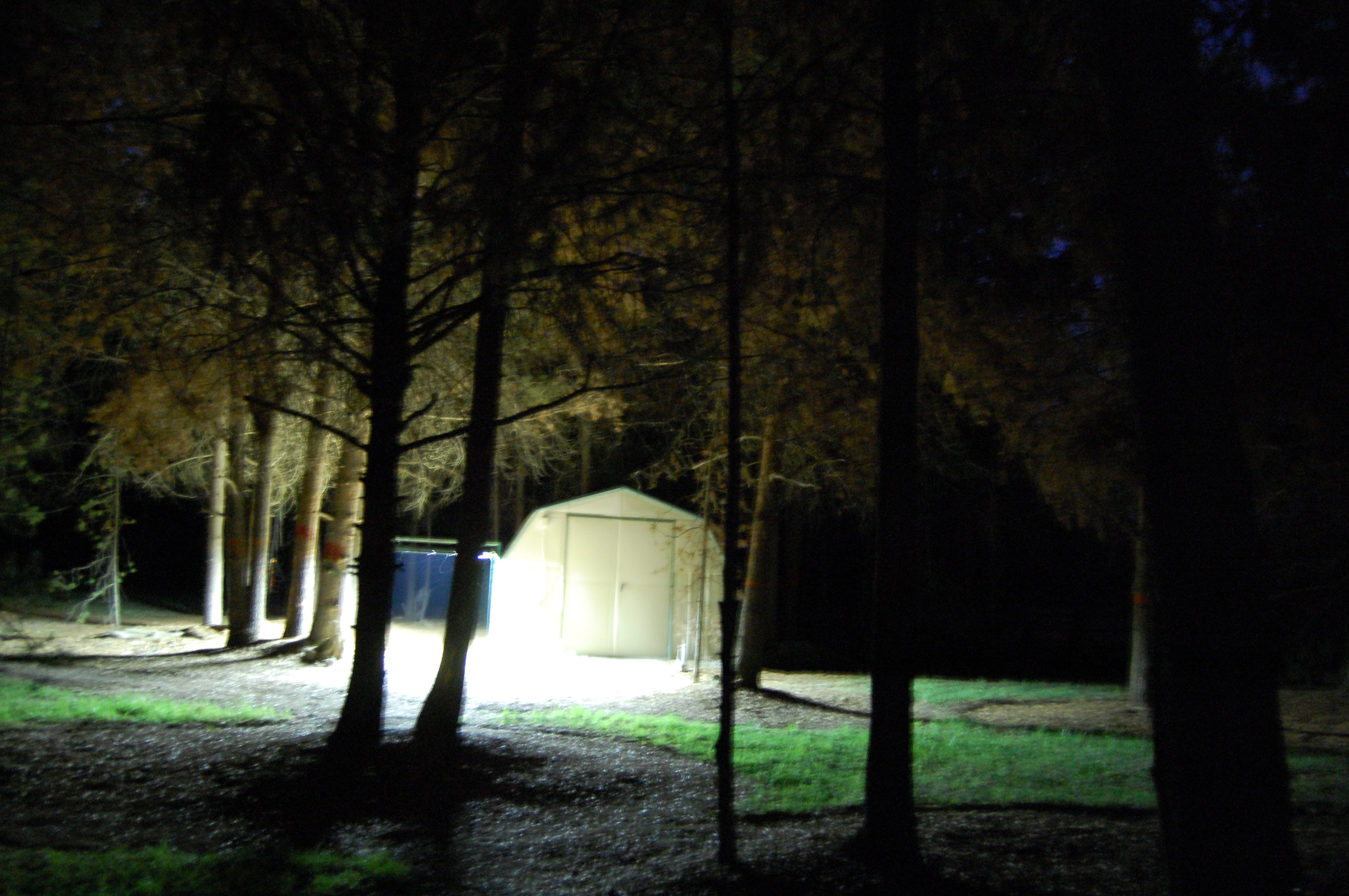 104 Night Lights 4