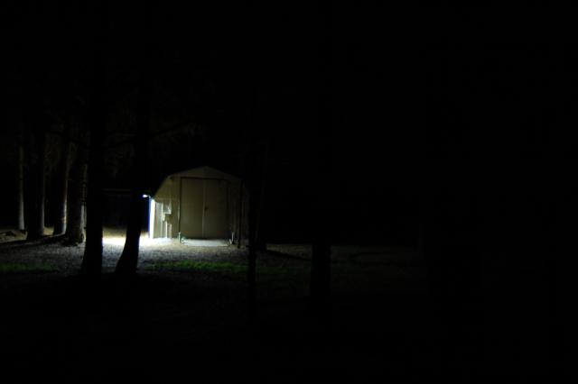 106 Night Lights 6