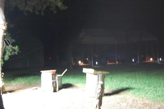 132 Night Feeder 1