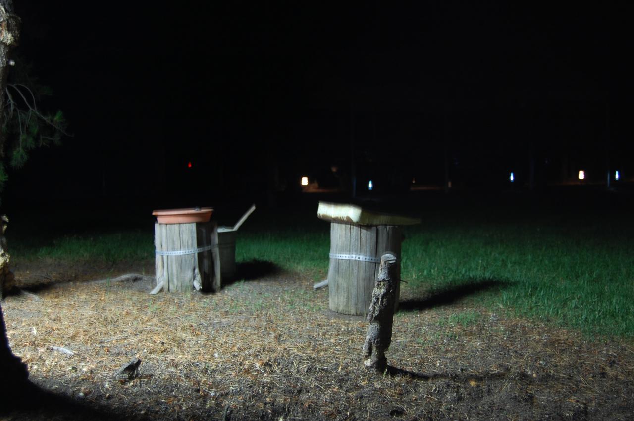 134 Night Feeder 3