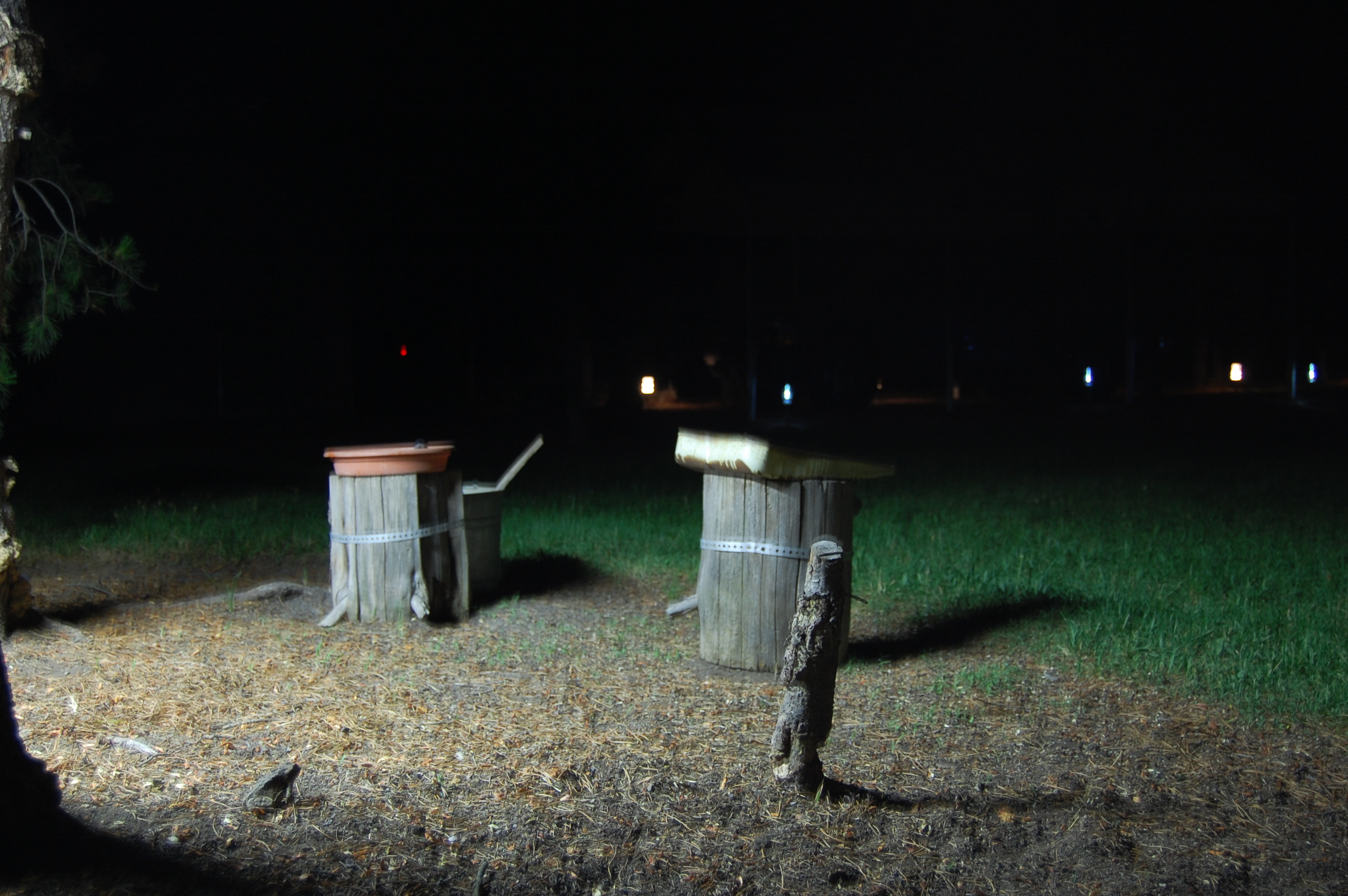 134 Night Feeder 3