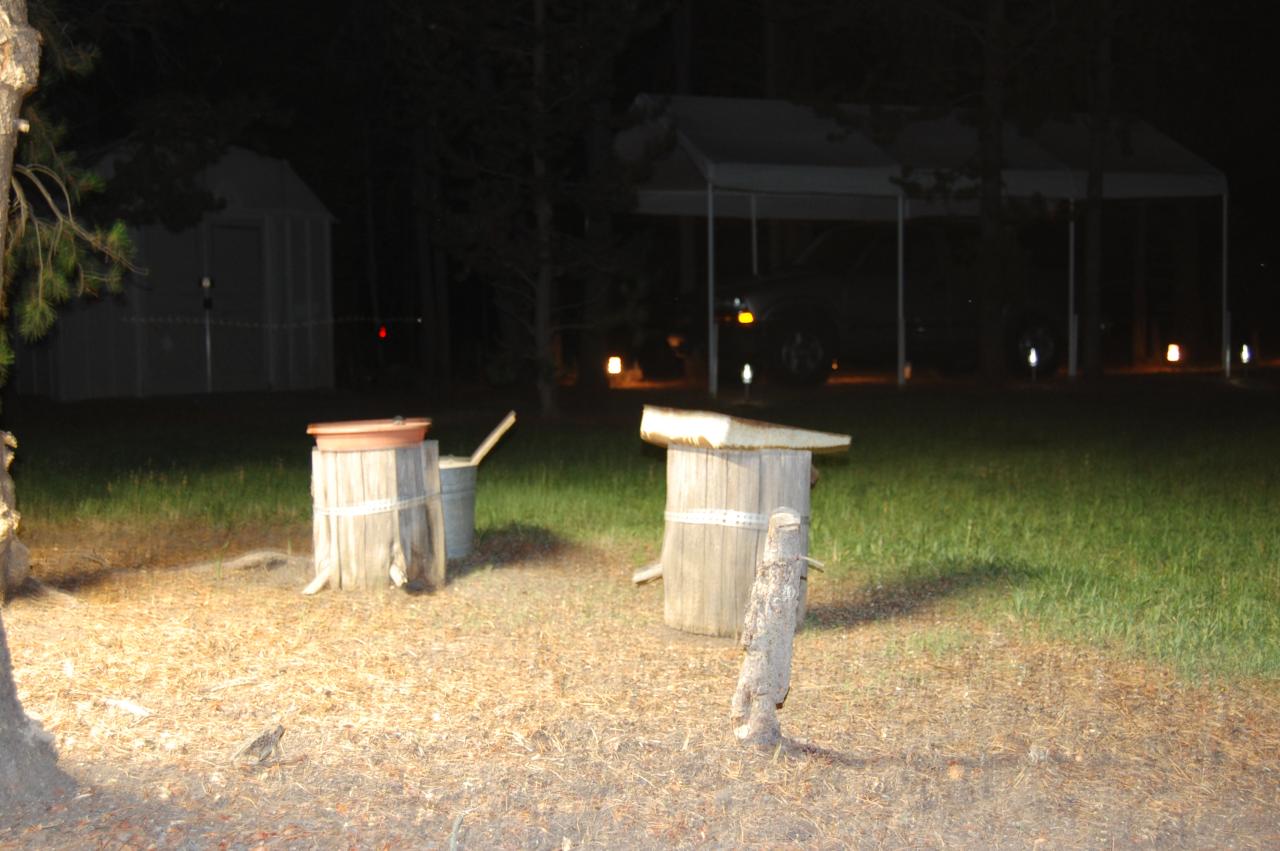 135 Night Feeder 4